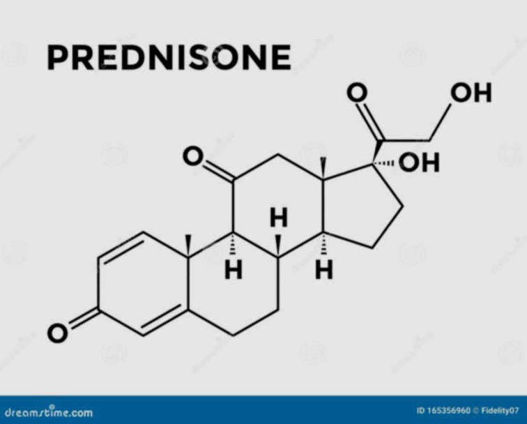 prednisone generico